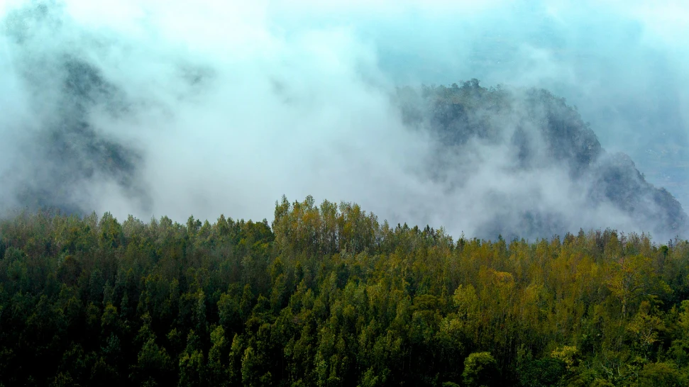 Peaceful Yercaud Lake surrounded by lush greenery and hills