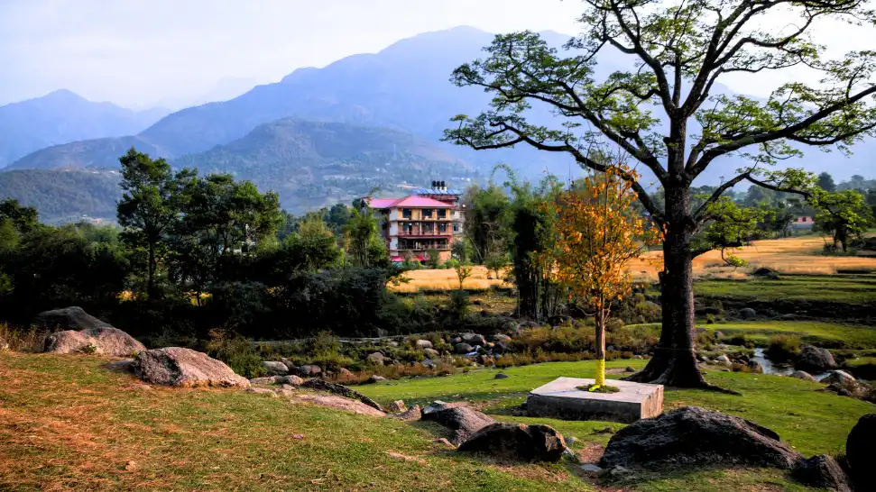 Palampur is One of The Best Hill Station Near Delhi