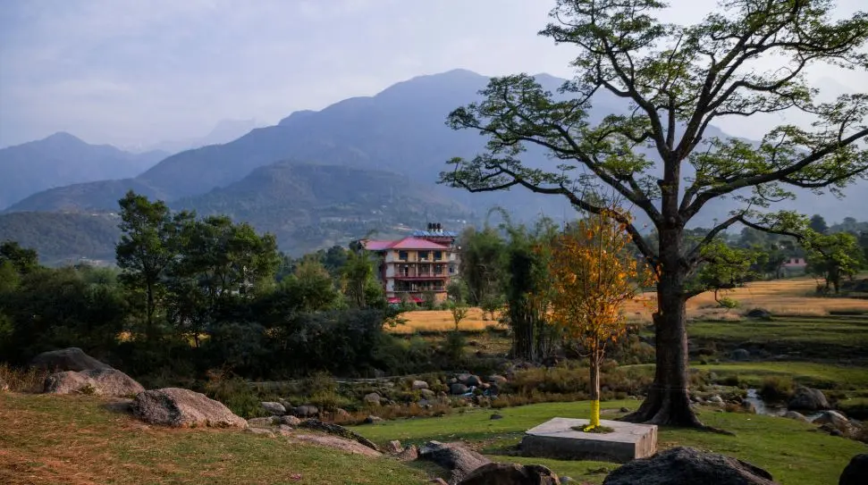 Palampur is one of the best tourist places to visit in Himachal Pradesh