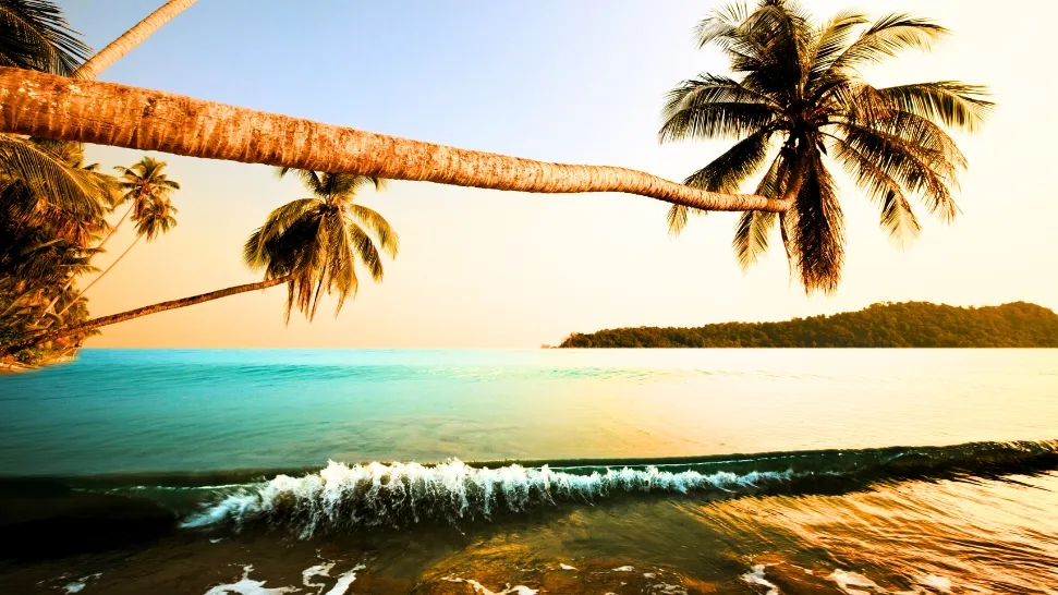 Andaman is One of The Best Honeymoon Destinations in India in February