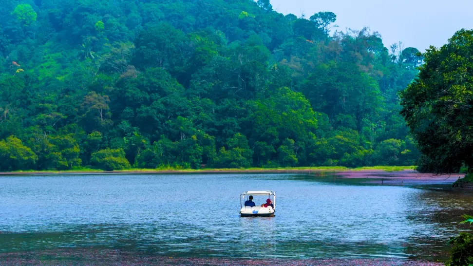Wayanad is One of The Best Honeymoon Destinations in India in February