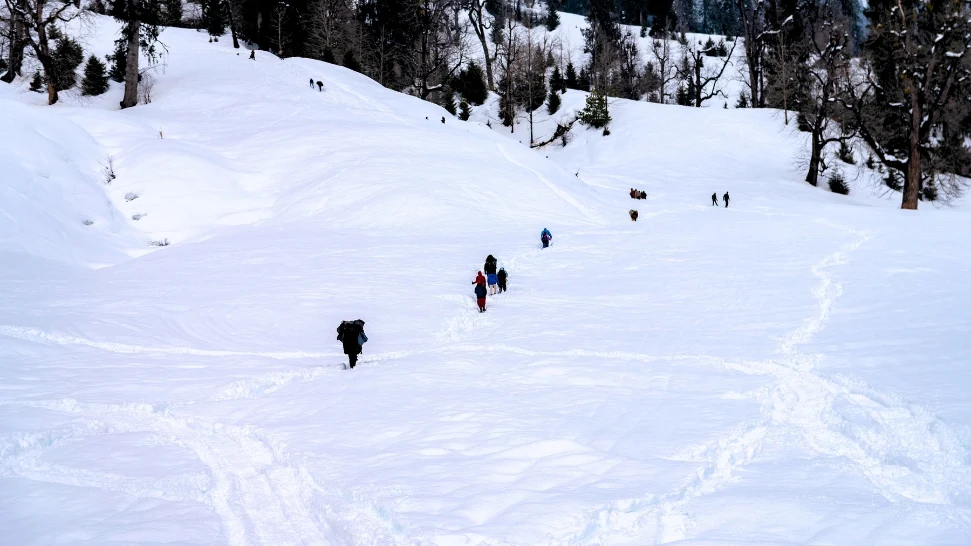 Manali is One of The Best Honeymoon Destinations in India in January