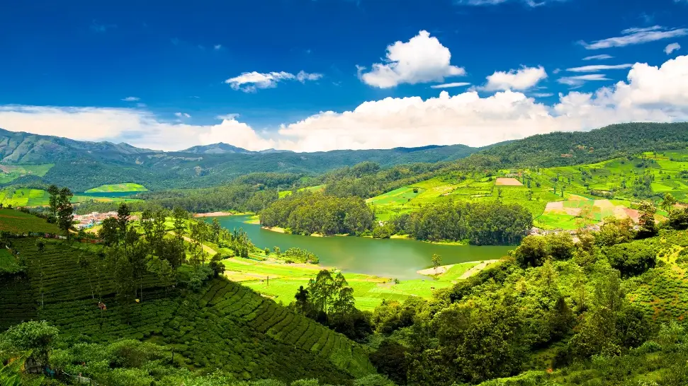 Ooty is One of The Best Honeymoon Destinations in India in January