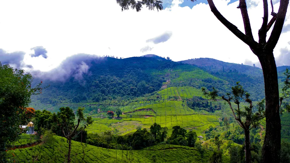 Coonoor is One of The Best Honeymoon Destinations In India In Summer