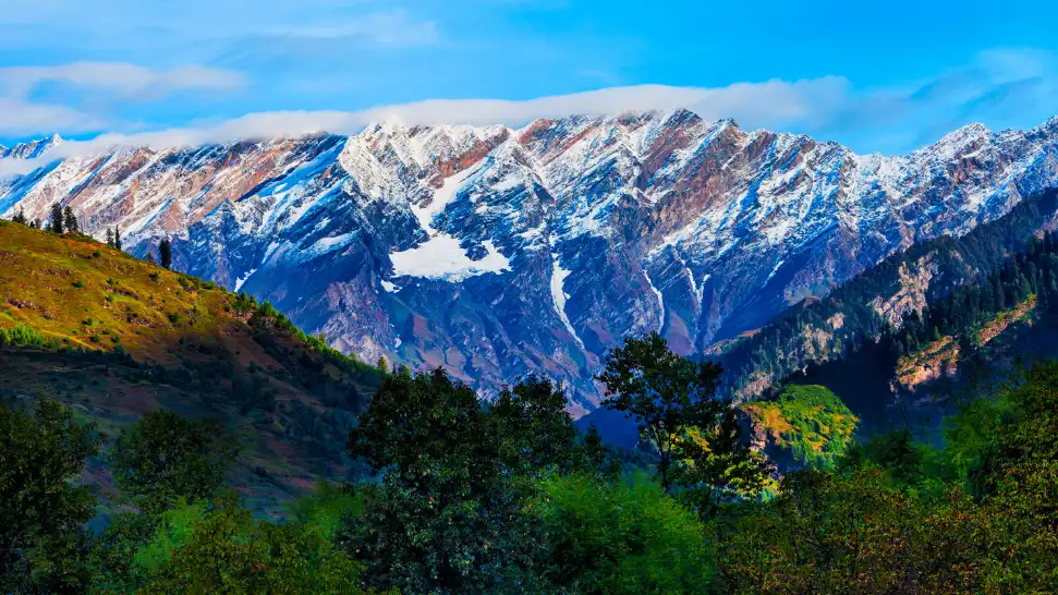 Manali Wildlife Sanctuary is One of The Best Places to Visit Honeymoon in Manali