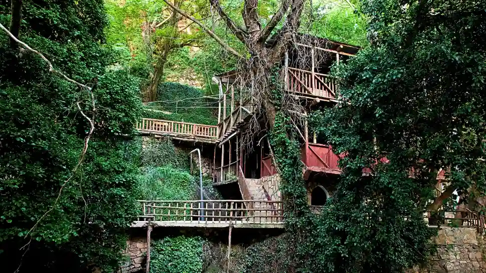 Tree House Stay is One of The Best Things To Do in Manali in Honeymoon