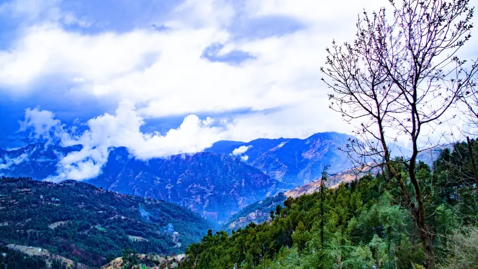 Naldehra Peak is One of the Best Places to Visit in Shimla