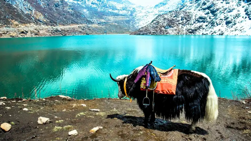 Gangtok is One of The Best Honeymoon Places in India in Winter