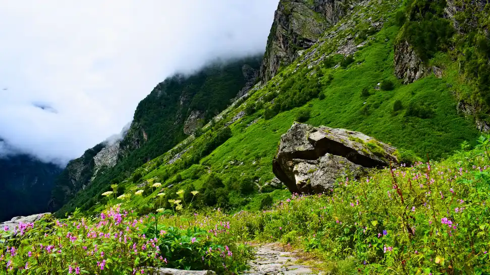 How To Reach Valley Of Flowers