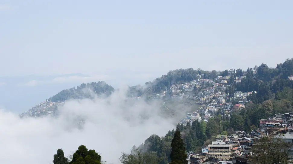 darjeeling