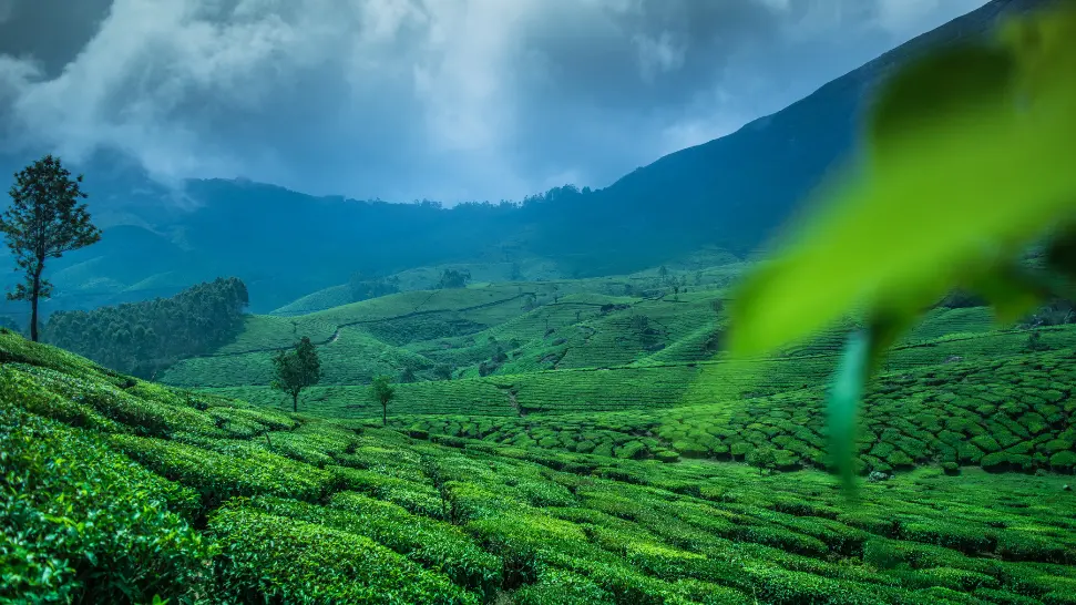 munnar