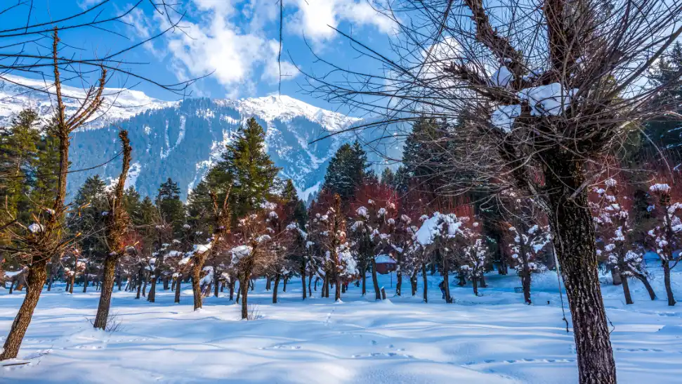 Betaab Valley is One of the Best Places to Visit in Kashmir in December