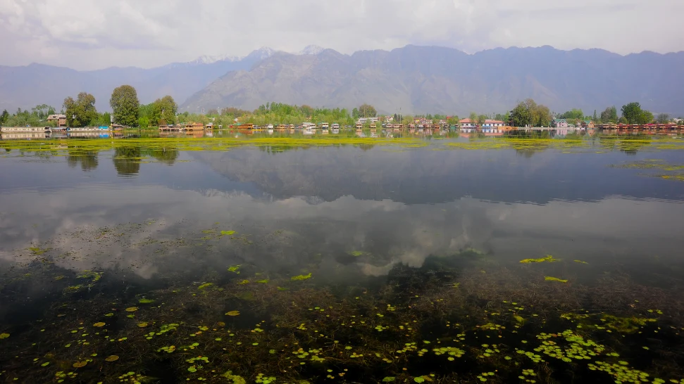 Nigeen Lake is One of the Best Places to Visit in Kashmir in December