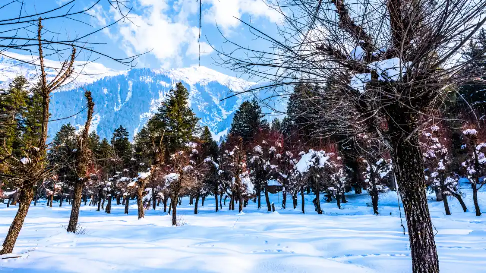 Betaab Valley is One of The Best Places to Visit in Kashmir