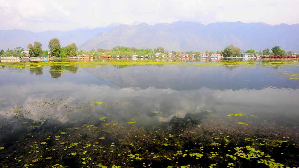Nigeen Lake Is One of the Best Places to Visit in Kashmir in May