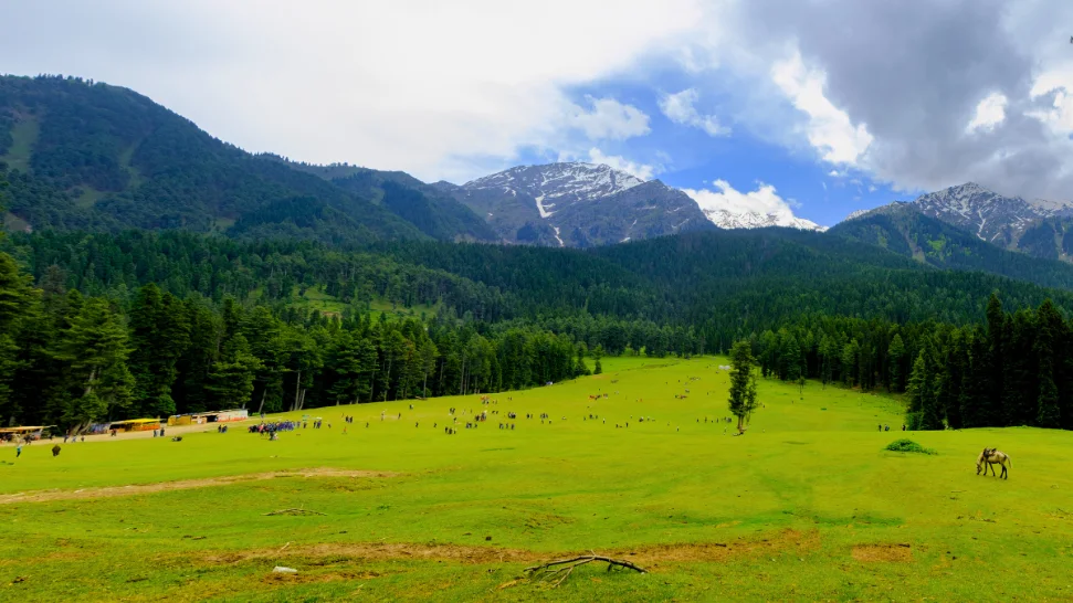 Pahalgam Is One of the Best Places to Visit in Kashmir in May