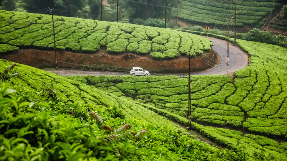 idukki is one of the best honeymoon places in Kerala