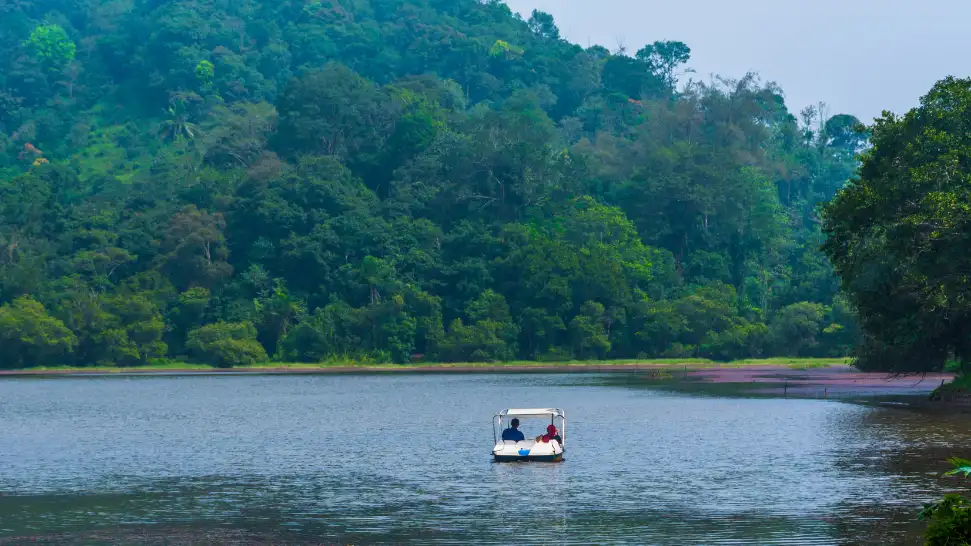 wayanad is one of the best honeymoon places in Kerala