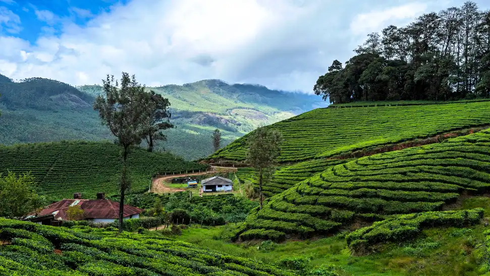 Munnar