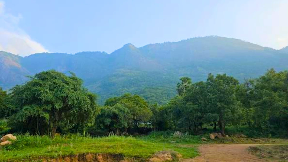 Neliyampathy is One of The Best Places to Visit in Kerala in December