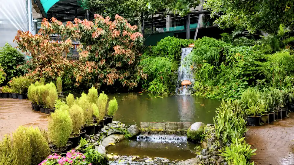 Mapro Garden
