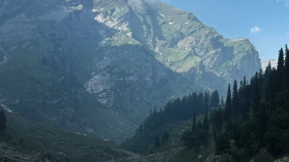 Manali Wildlife Sanctuary is one of the Best Things To Do In Manali in January