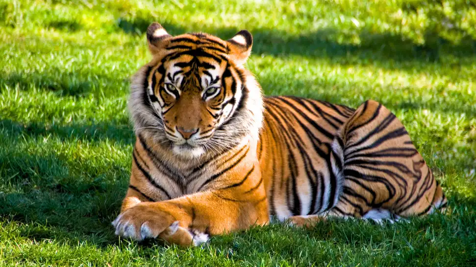 Manali Wildlife Sanctuary is One of The Best Places to Visit in June