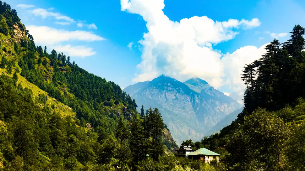 Wildlife Sanctuary is One Of The Best Things To Do in Manali in November