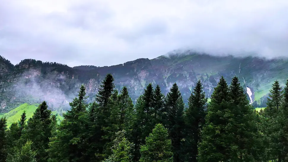 Manali in Monsoon