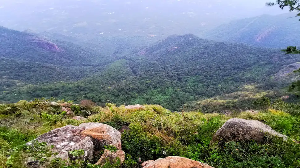 Kolli Hills is One of The Best Places For A Weekend Getaway Near Chennai