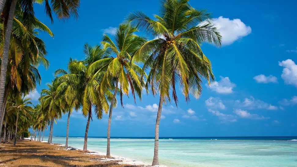 Lakshadweep is one of the best places to celebrate new year in India 