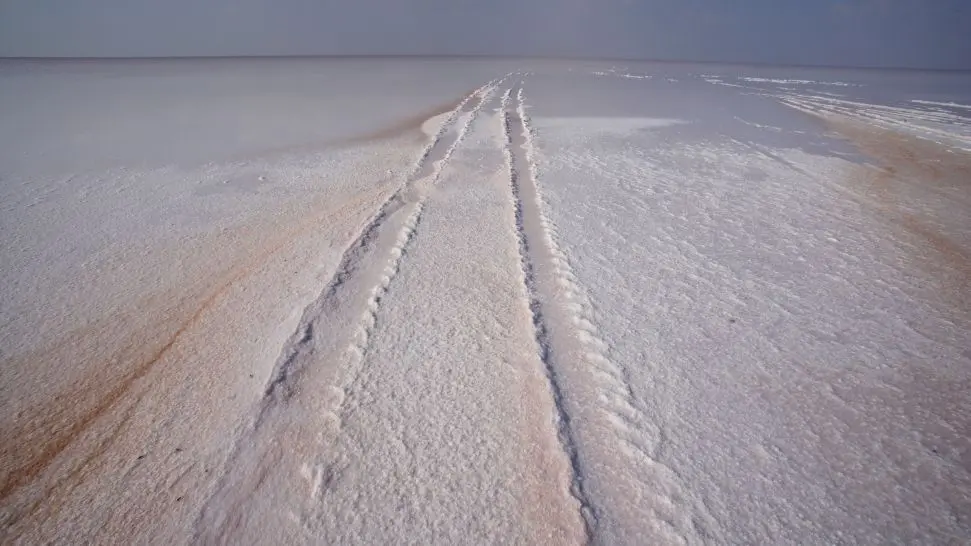 Rann Of Kutch is one of the best places to celebrate new year in India 