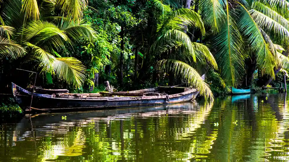 Alleppey Backwaters is One of The Best Places to Visit in Alleppey