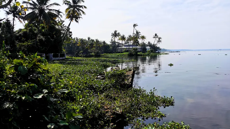 Pathiramanal Island is One of The Best Places to Visit in Alleppey