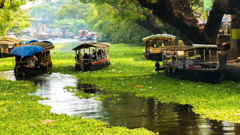 Shikara is One of The Best Places to Visit in Alleppey