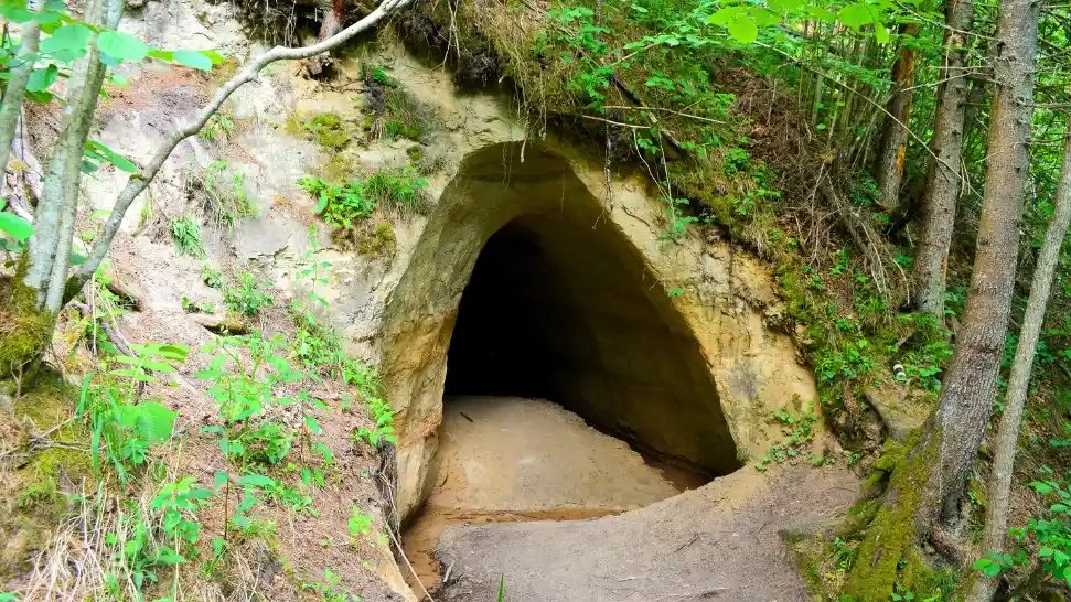 Robber’s Cave is One of The Best Places to Visit in Dehradun