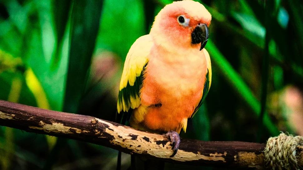 Green Planet is One of The Best Places to Visit in Dubai