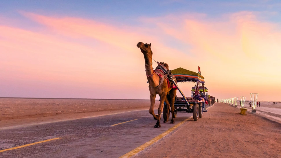 Rann Of Kutch is One of The Best Places to Visit in Gujarat
