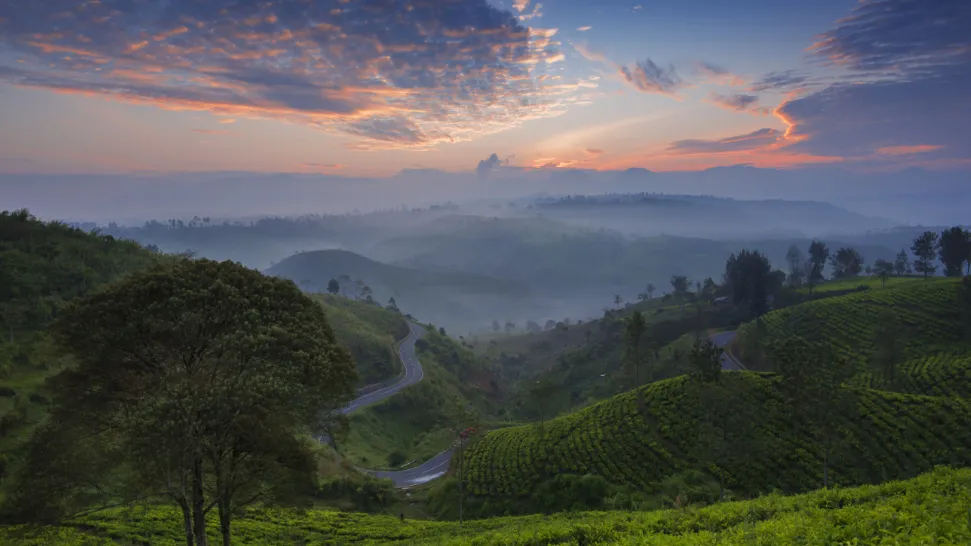 Coorg is One of The Best Places to Visit in India in December With Family