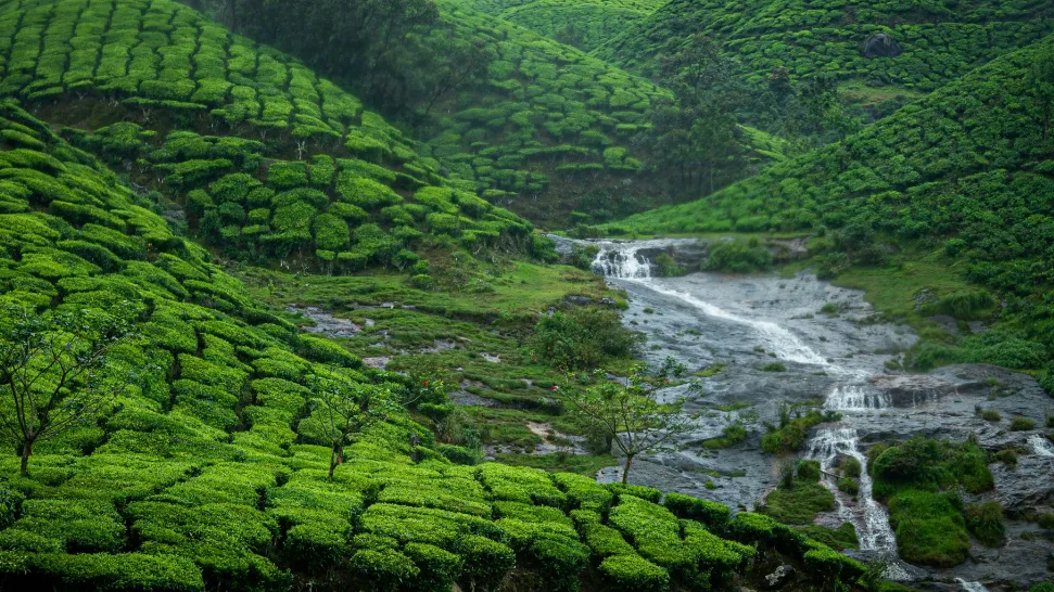 Munnar is One of The Best Places to Visit in India in December With Family