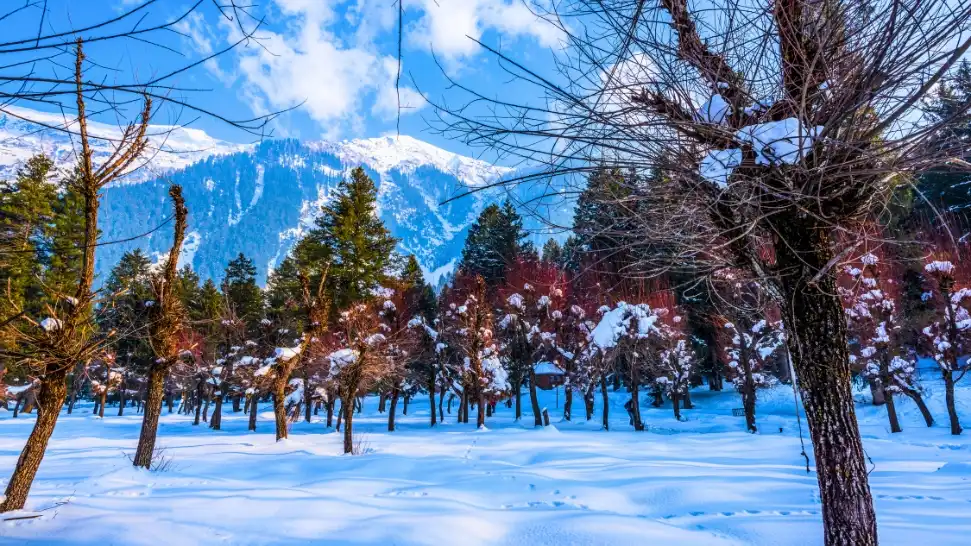 Betaab Valley is One of the Best Places to Visit in Shimla