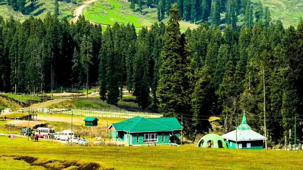 Doodhpathri is One of the Best Places to Visit in Shimla