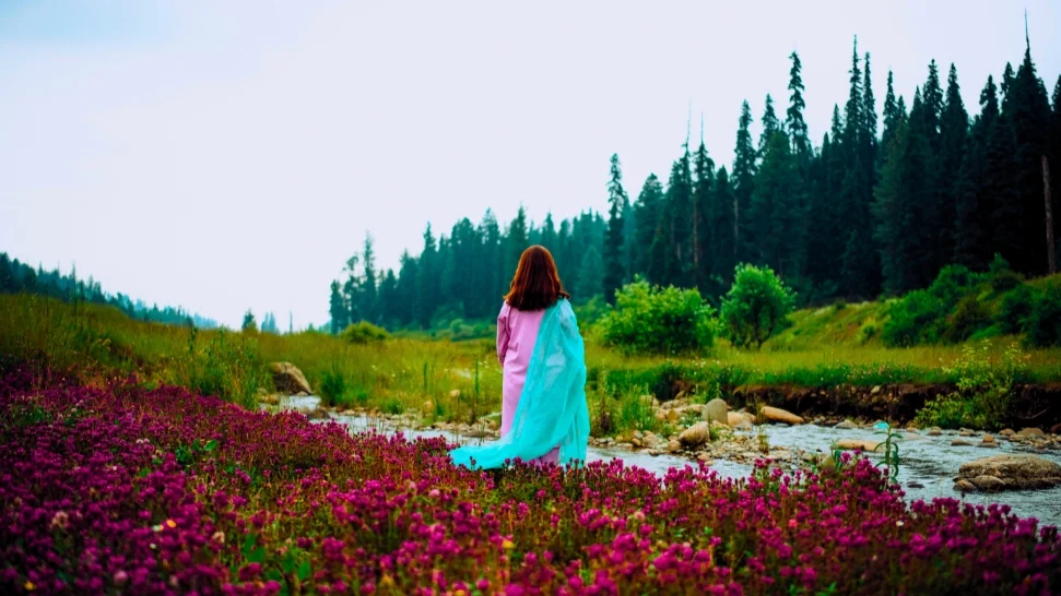 Yusmarg is One of the Best Places to Visit in Shimla