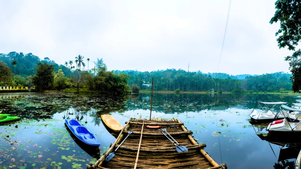 Wayanad Is One of the Best Places to Visit in Kerala During Summer