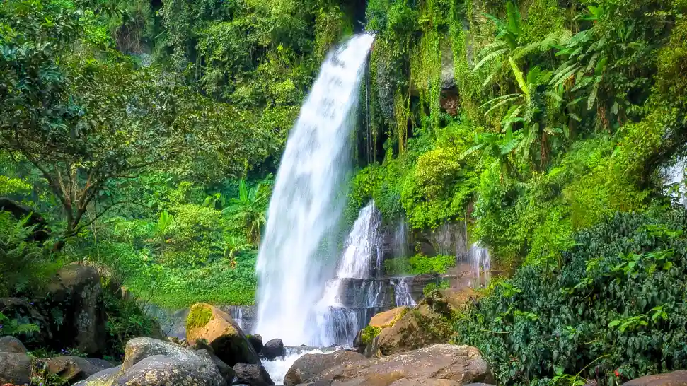Dhobi Waterfall cascading through lush green forest in Mahabaleshwar