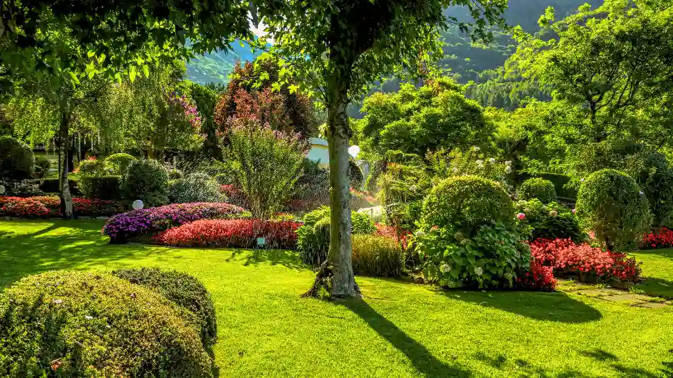 Fresh strawberries and colourful gardens at Mapro Garden Mahabaleshwar