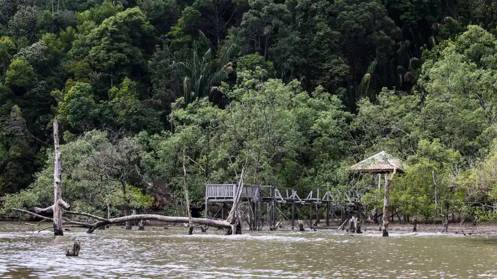 Bako National Park is One of The Best Places to Visit in Malaysia