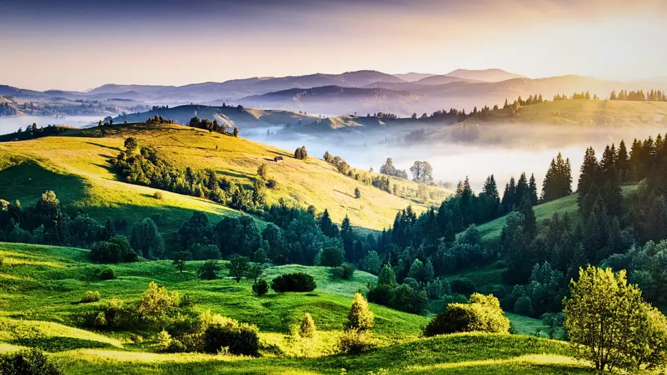 Kodaikanal is One of The Best Places to Visit in India in May