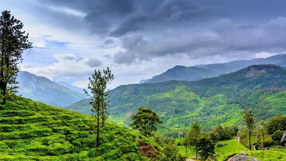 Wayanad is One of The Best Places to Visit in India in May