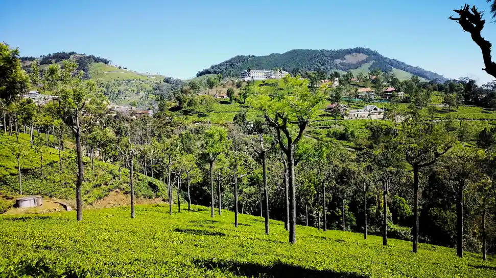 Coonoor Is one of the best places to visit in may in south india